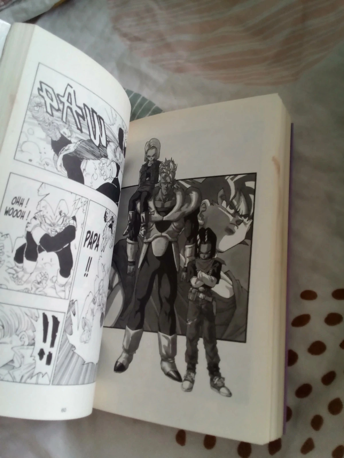 Dragon ball 30 réunification – photo 8